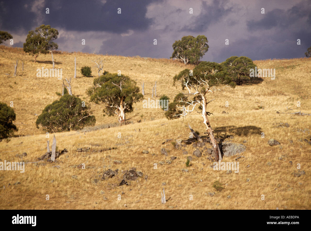 Colline avec les nuages de tempête le Sud Tablelands NSW Australie Banque D'Images