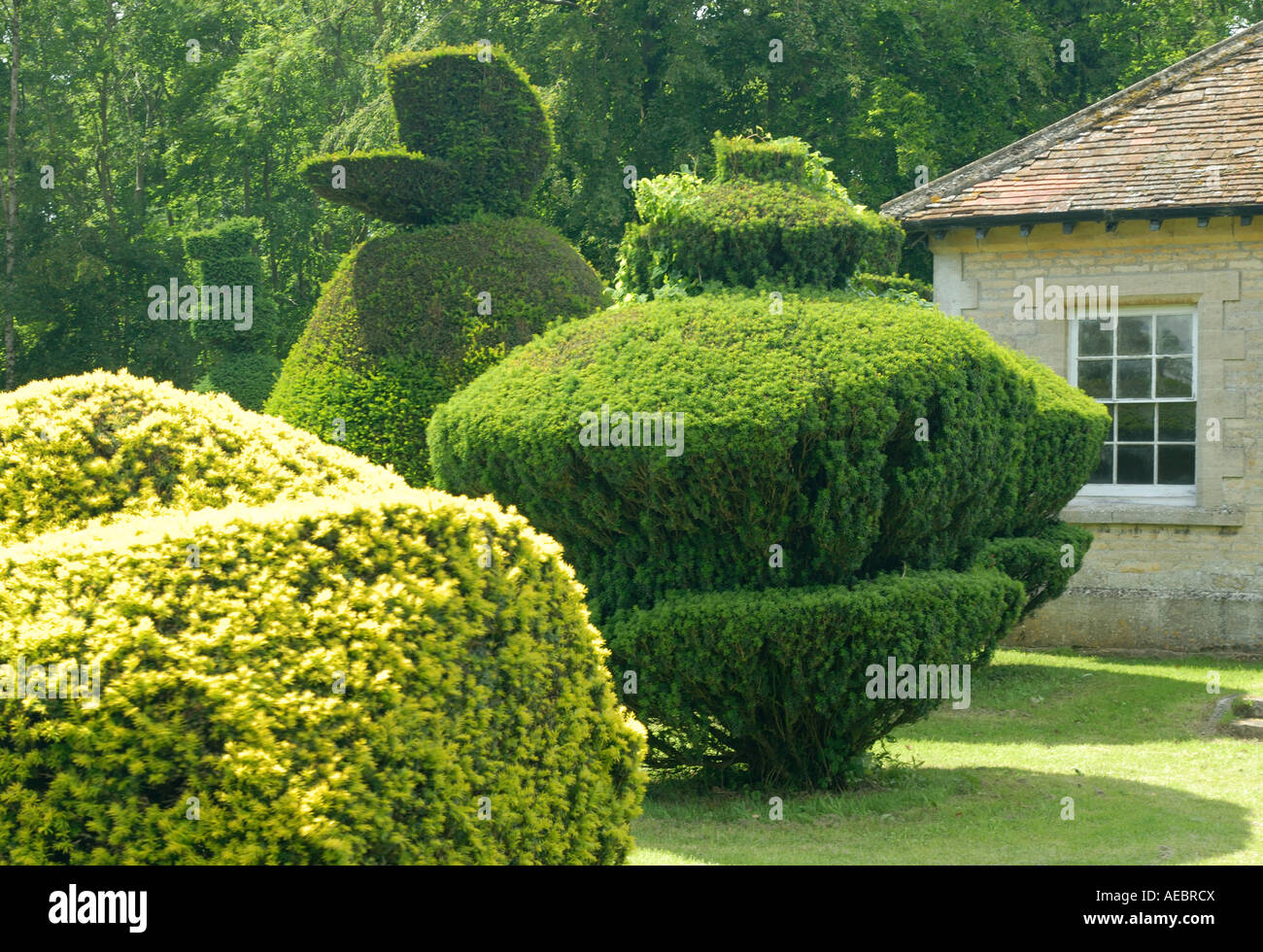 L'Clipsham, Yew Tree Avenue Banque D'Images