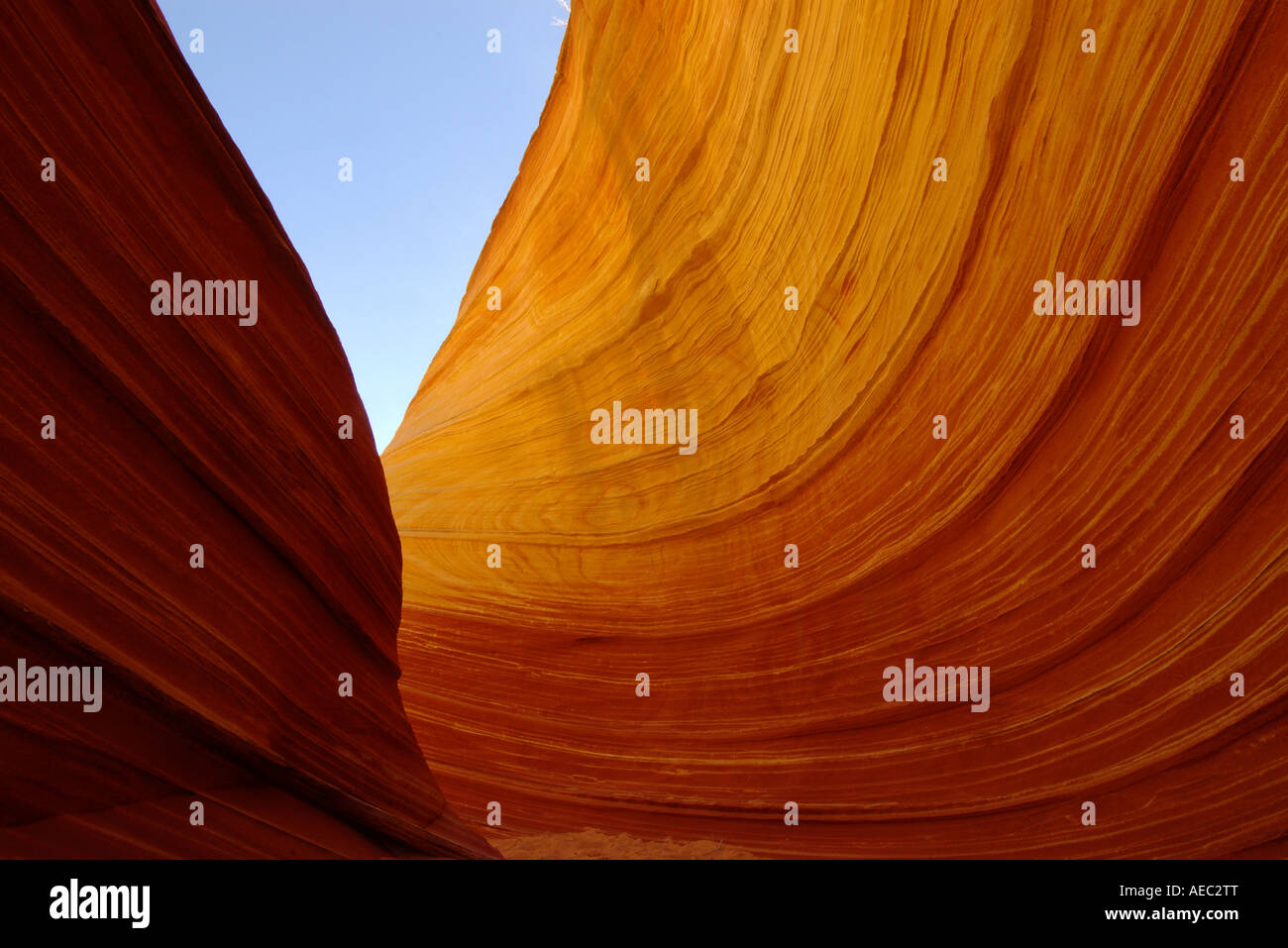 Les couches de grès érodées vent forment le paysage de Coyote Buttes, Vermillion Désert, Arizona Banque D'Images