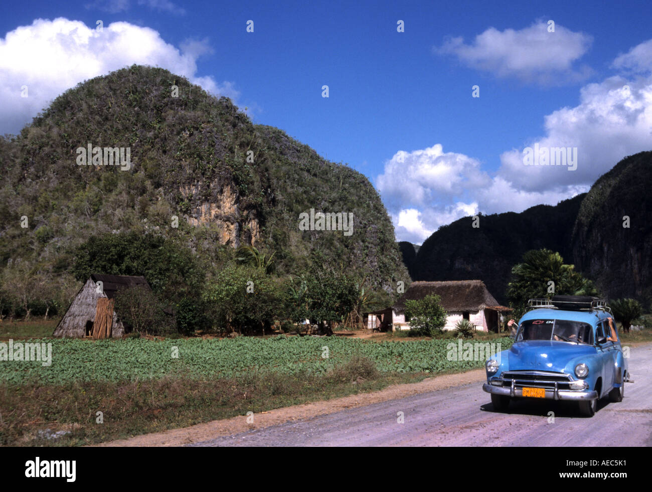 Pinar de Rio ancienne Plantation road Pinar de Rio Cuba culture du tabac cubain cigare cigares plantation agricole Banque D'Images