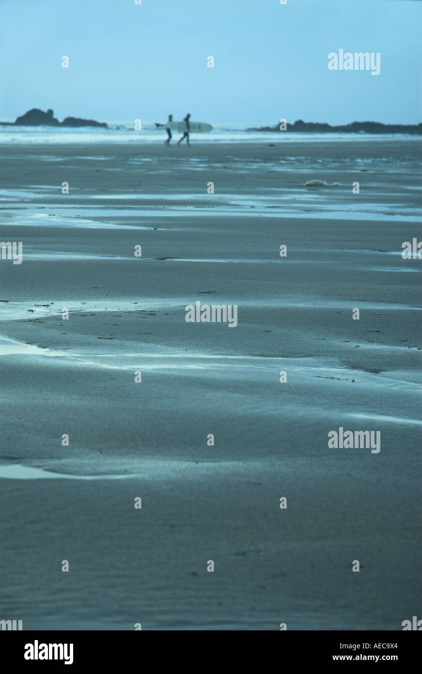 Surfeurs de la fin de la journée Banque D'Images