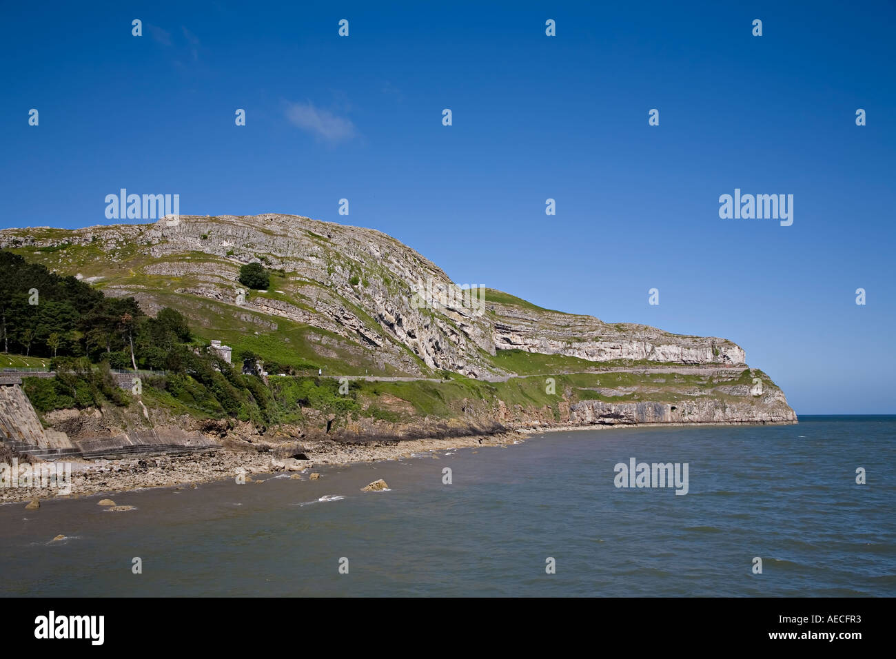 Littoral de la Great Orme près de Llandudno et le péage routier route du littoral du pays de Galles UK Banque D'Images