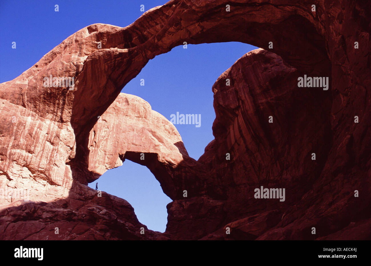 Arc double, USA, Utah, Arches NP Banque D'Images