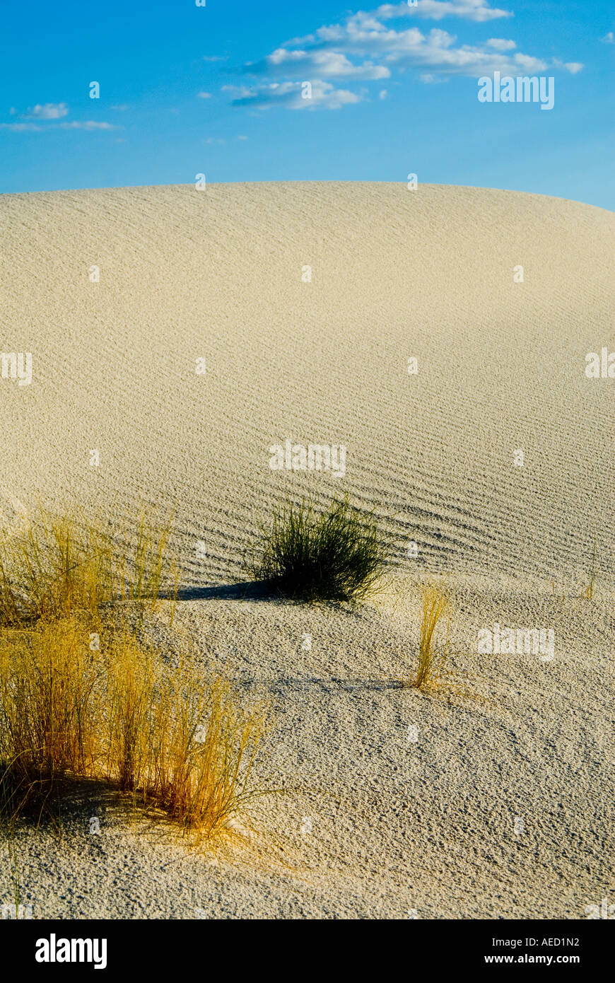 Paysage désertique de White Sands National Monument au Nouveau Mexique Banque D'Images