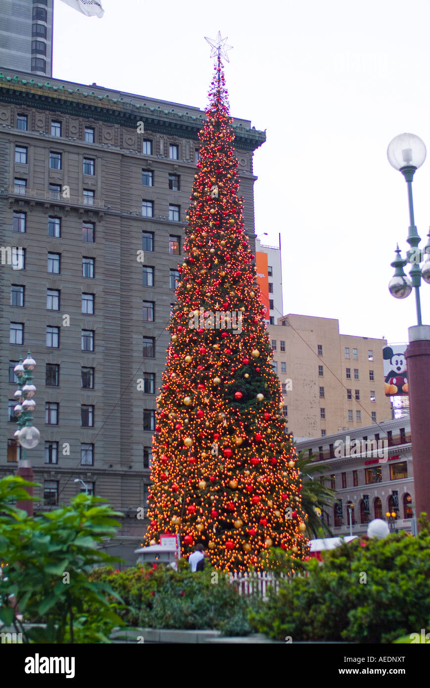 Arbre de Noël décoré à San Francisco Californie Union Square Banque D'Images