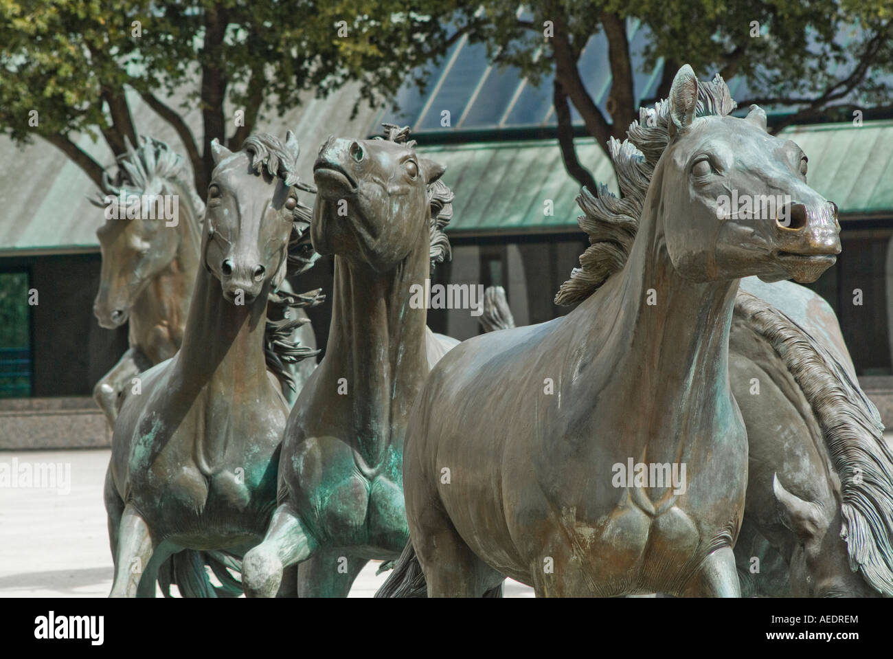 Cheval en bronze des statues à Williams Square à Irving au Texas Banque D'Images