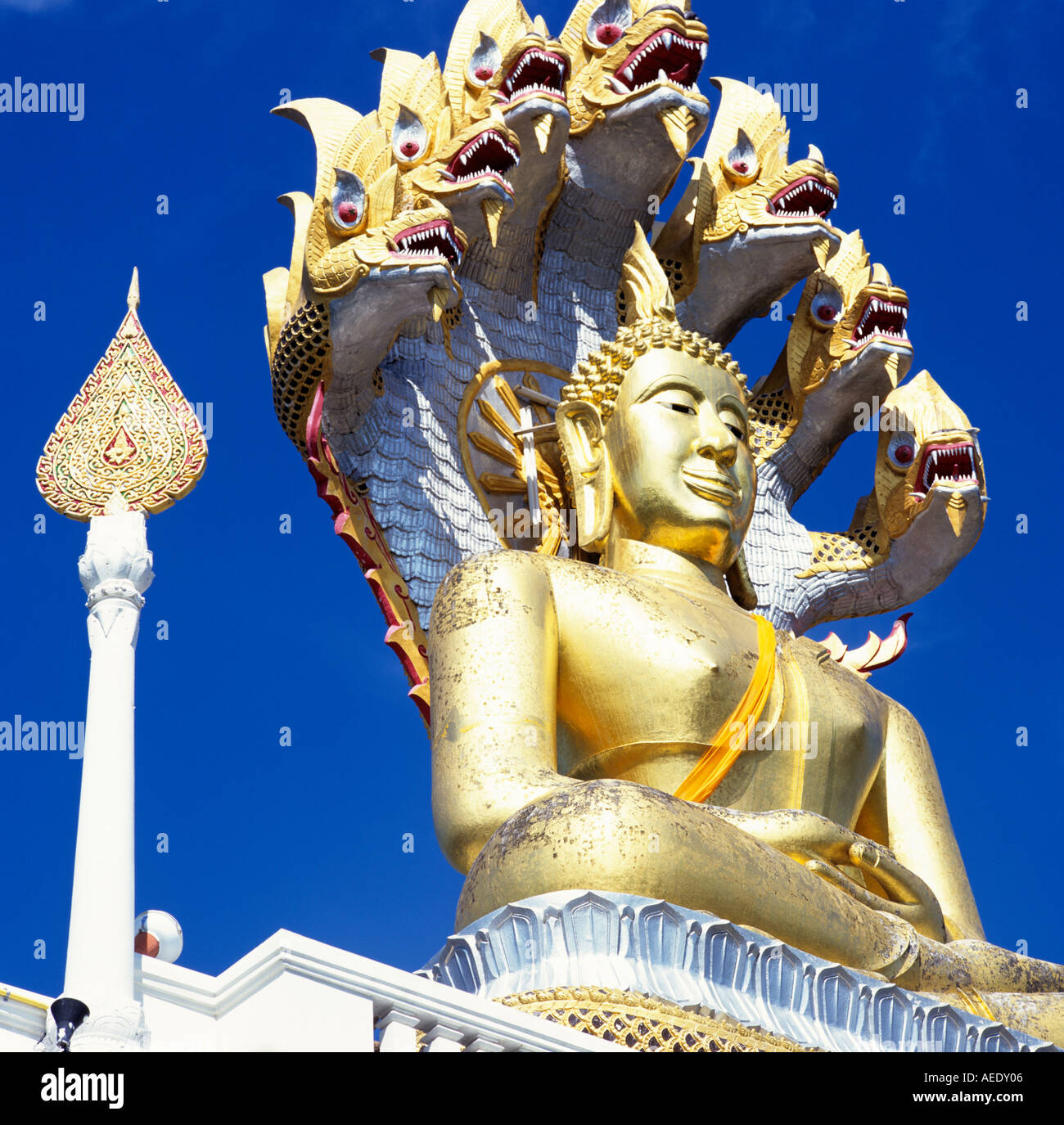 Golden Buddha Chiang Mai Thaïlande Asie du sud-est Banque D'Images
