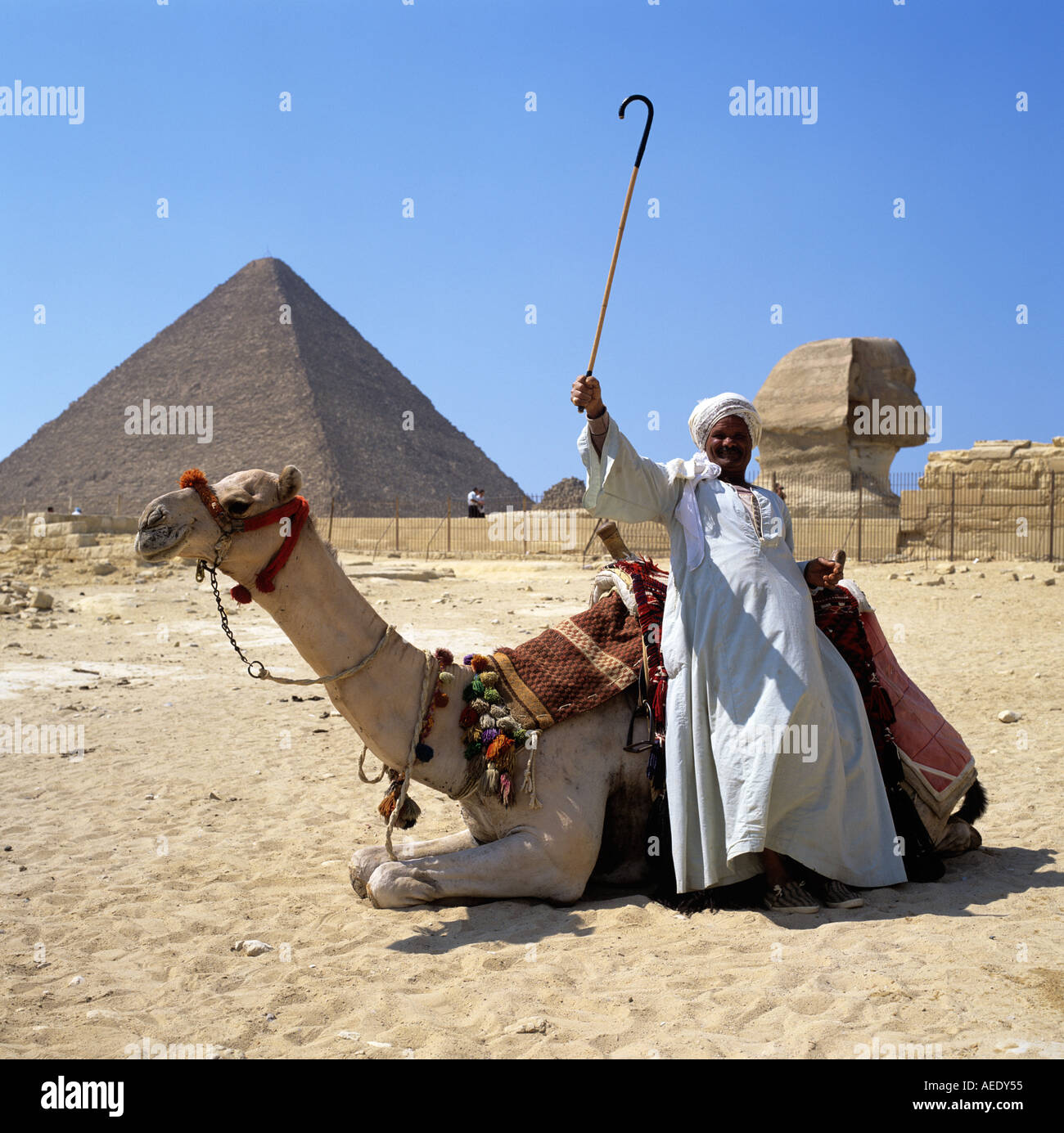 Bédouins et Camel en dehors de la grande pyramide de Gizeh Egypte Afrique du Nord Banque D'Images