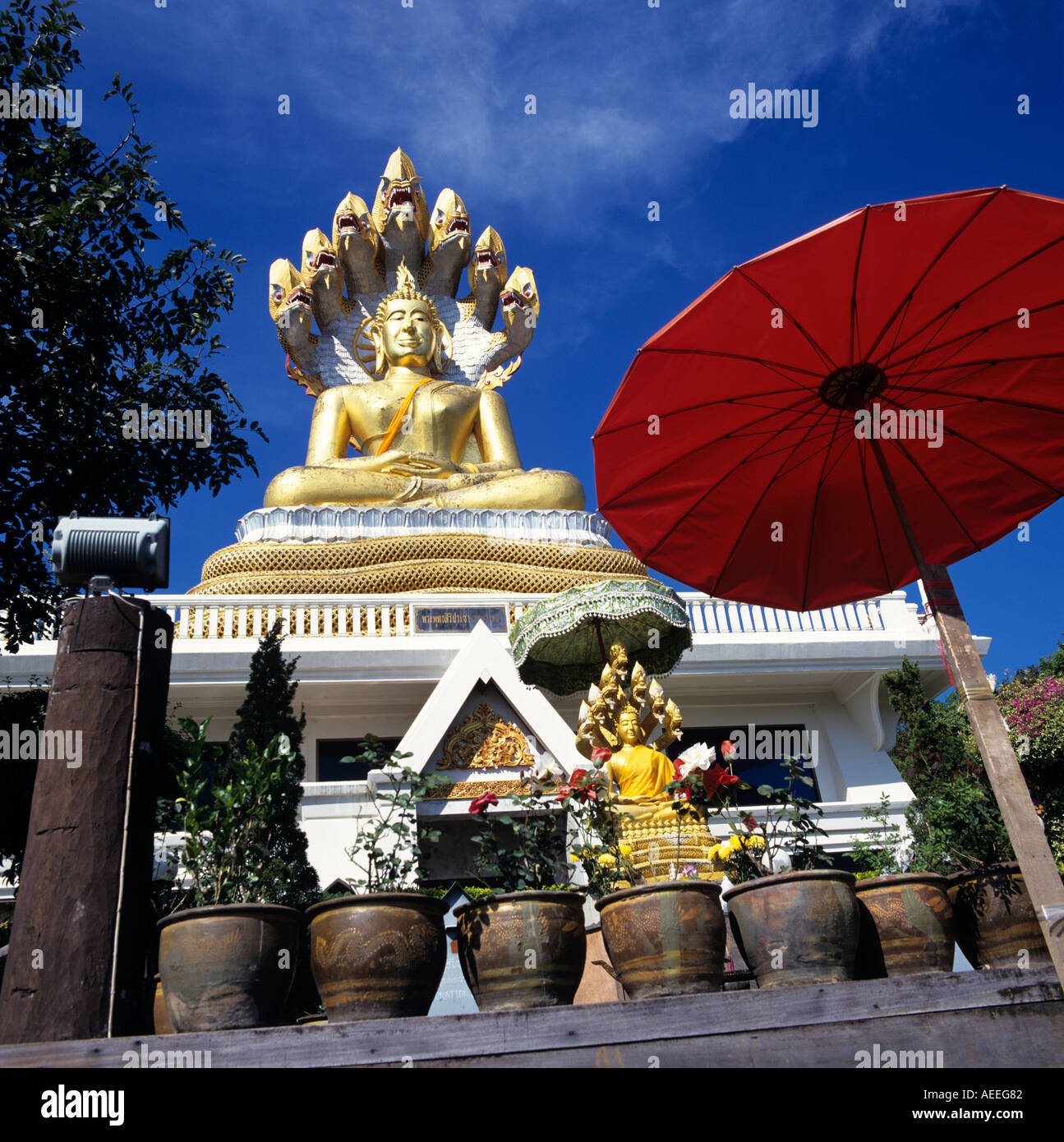 Buddha Chang Mai Thaïlande Asie du sud-est Banque D'Images
