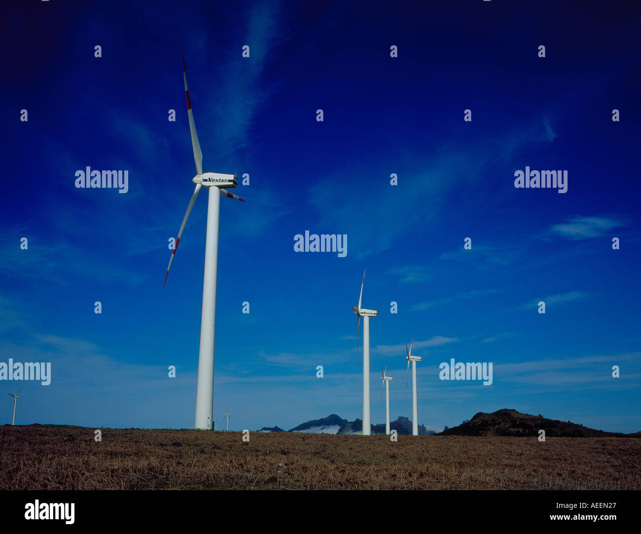 Moulin à parc Parque Natural da Madeira Paul da Serra Portugal Madère l'Europe. Photo par Willy Matheisl Banque D'Images