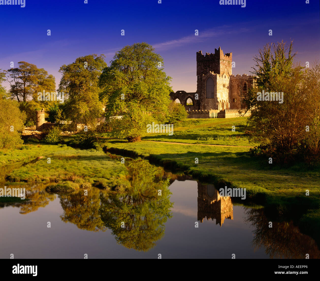 Ruines de l'abbaye de tintern, un château par une journée ensoleillée avec réflexion dans une rivière traversant le premier plan et des arbres entourant les murs Banque D'Images