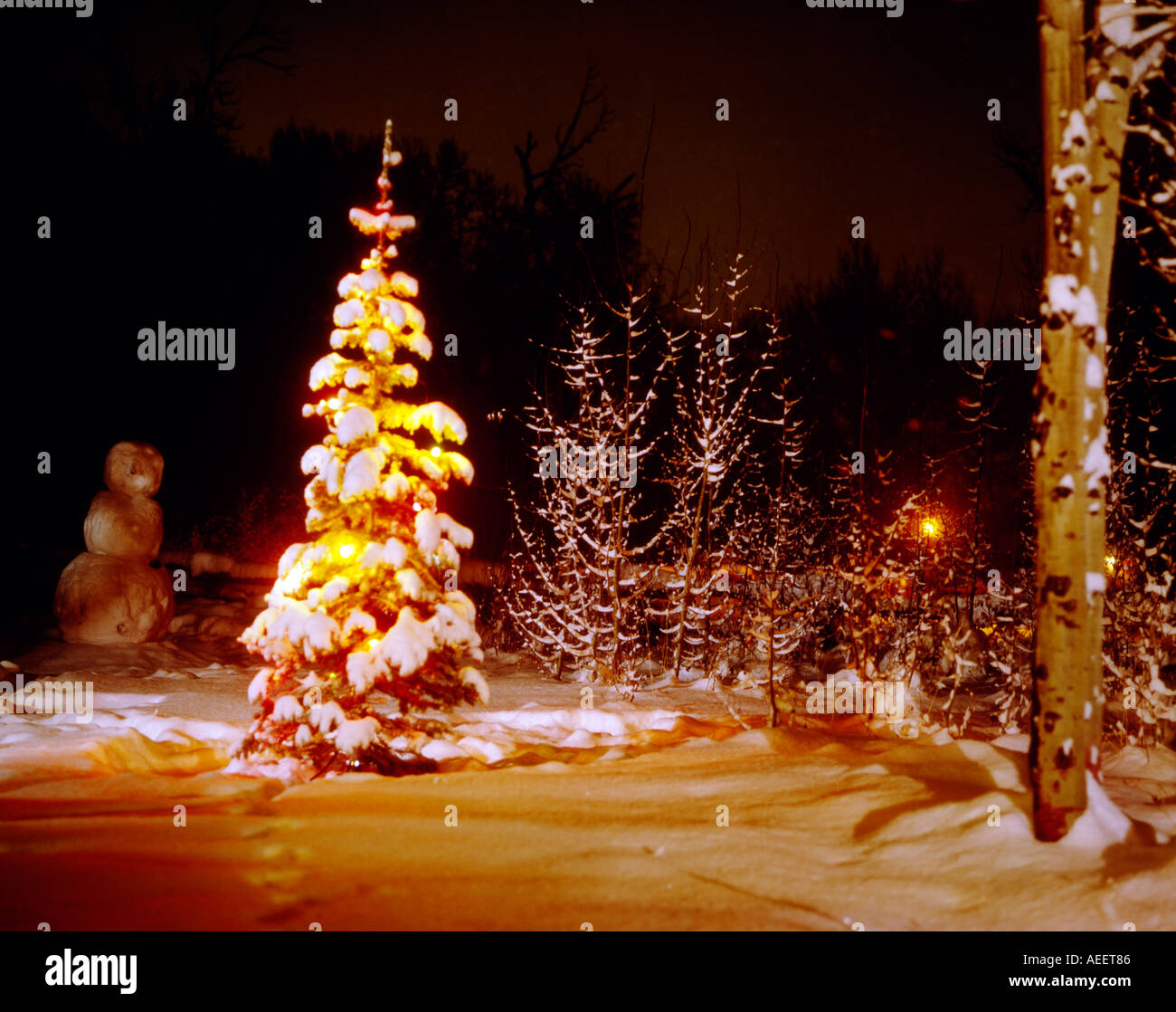 Arbre de Noël lumineux couvert de nouveau la neige dans une scène de nuit avec un bonhomme de neige en arrière-plan Banque D'Images