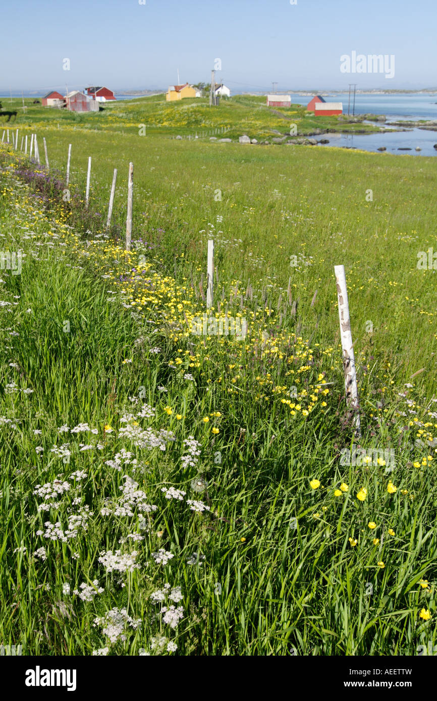 Eggum paysage, Lofoten, Norvège. Banque D'Images