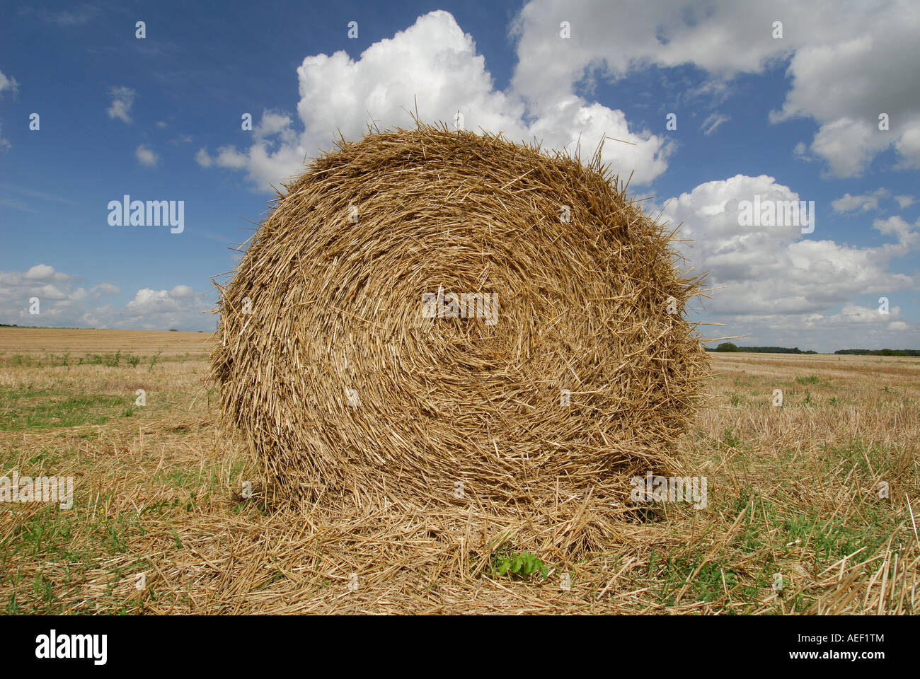 Balle de paille ronde, sud-Touraine, France. Banque D'Images