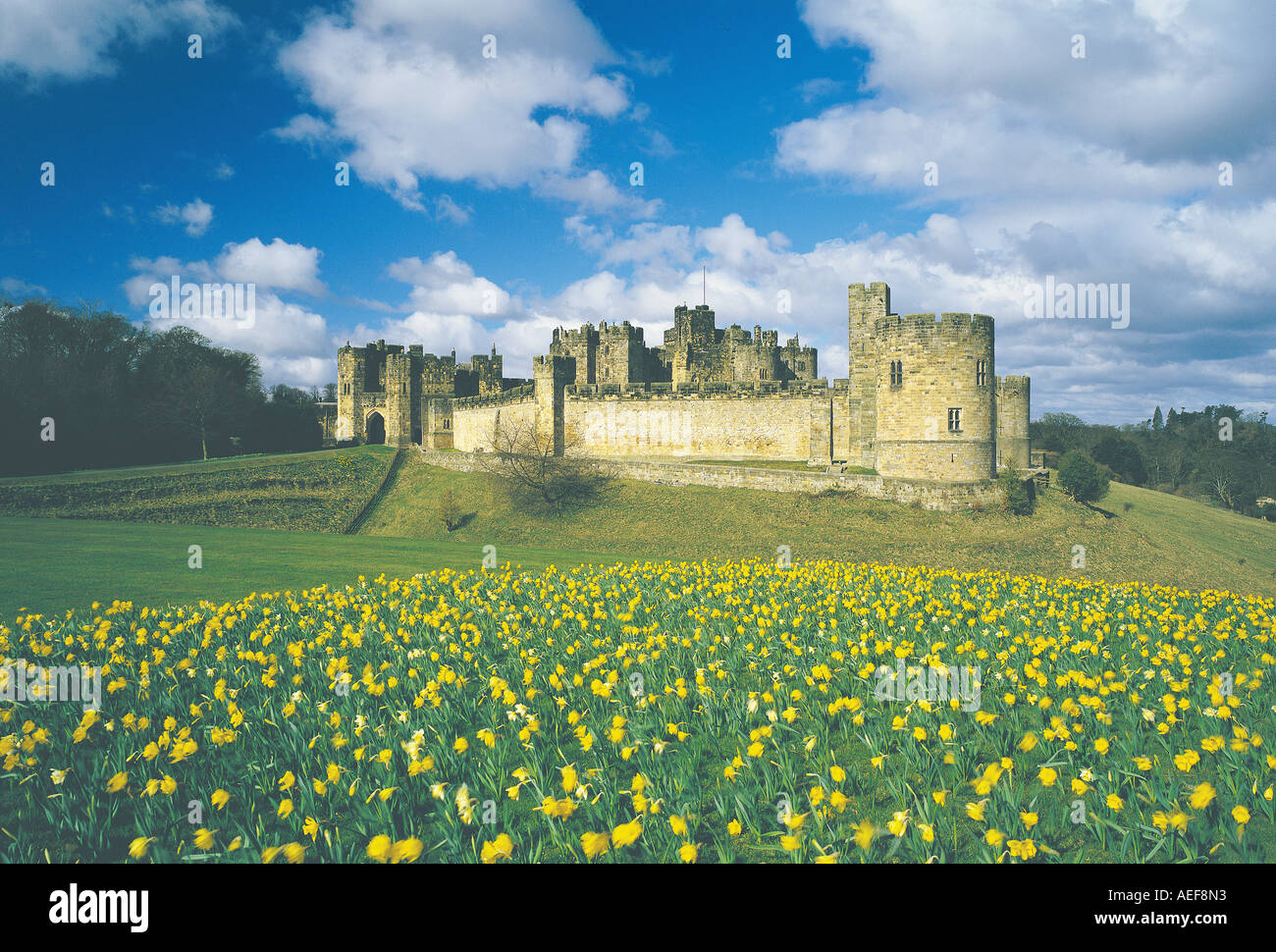 Château d'Alnwick et la campagne environnante au printemps, Northumberland Banque D'Images