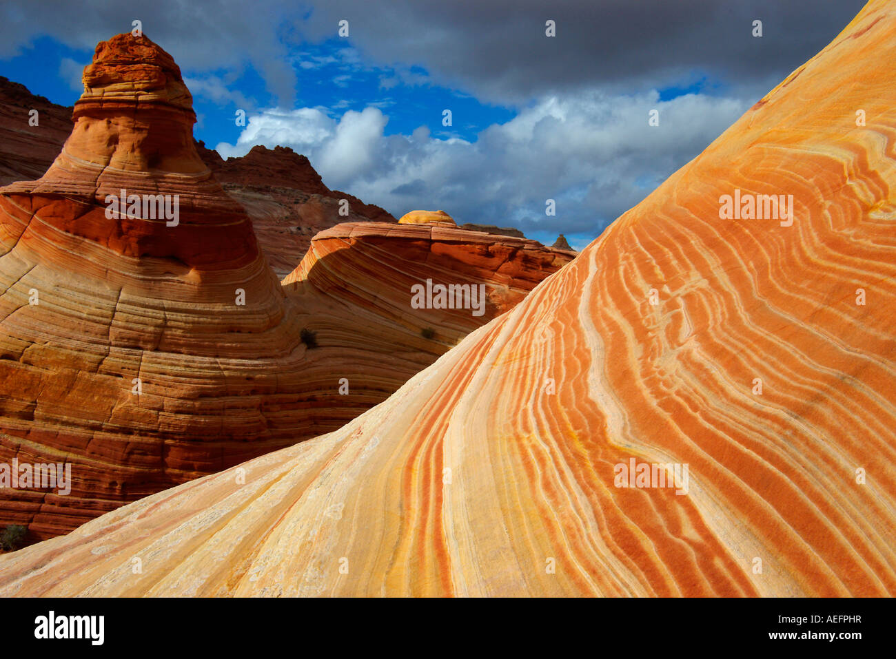 Les couches de grès érodées vent forment le paysage de Coyote Buttes, Vermillion Désert, Arizona Banque D'Images