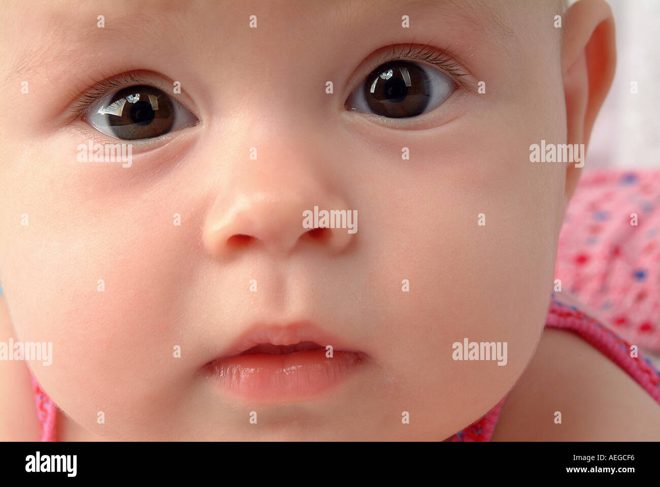 Bebe Pres Haut Brun Mignon Yeux Joues Roses Fixant La Curiosite Photo Stock Alamy Bebe Pres Haut Brun Mignon Yeux Joues Roses Fixant La Curiosite Photo Stock Alamy