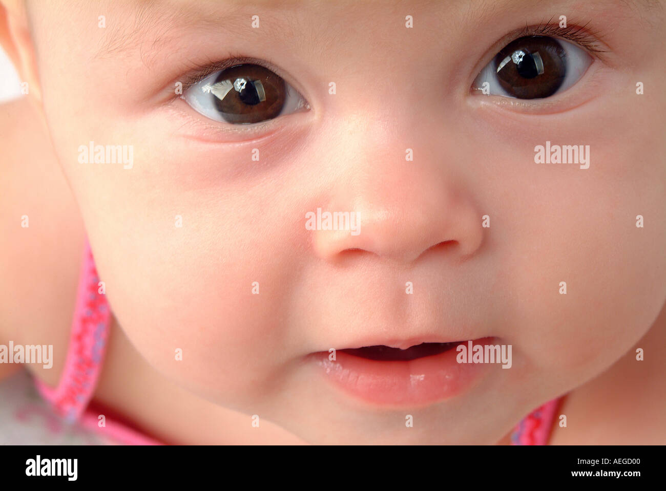 Bebe Pres Haut Brun Mignon Yeux Joues Roses Fixant La Curiosite Photo Stock Alamy Bebe Pres Haut Brun Mignon Yeux Joues Roses Fixant La Curiosite Photo Stock Alamy
