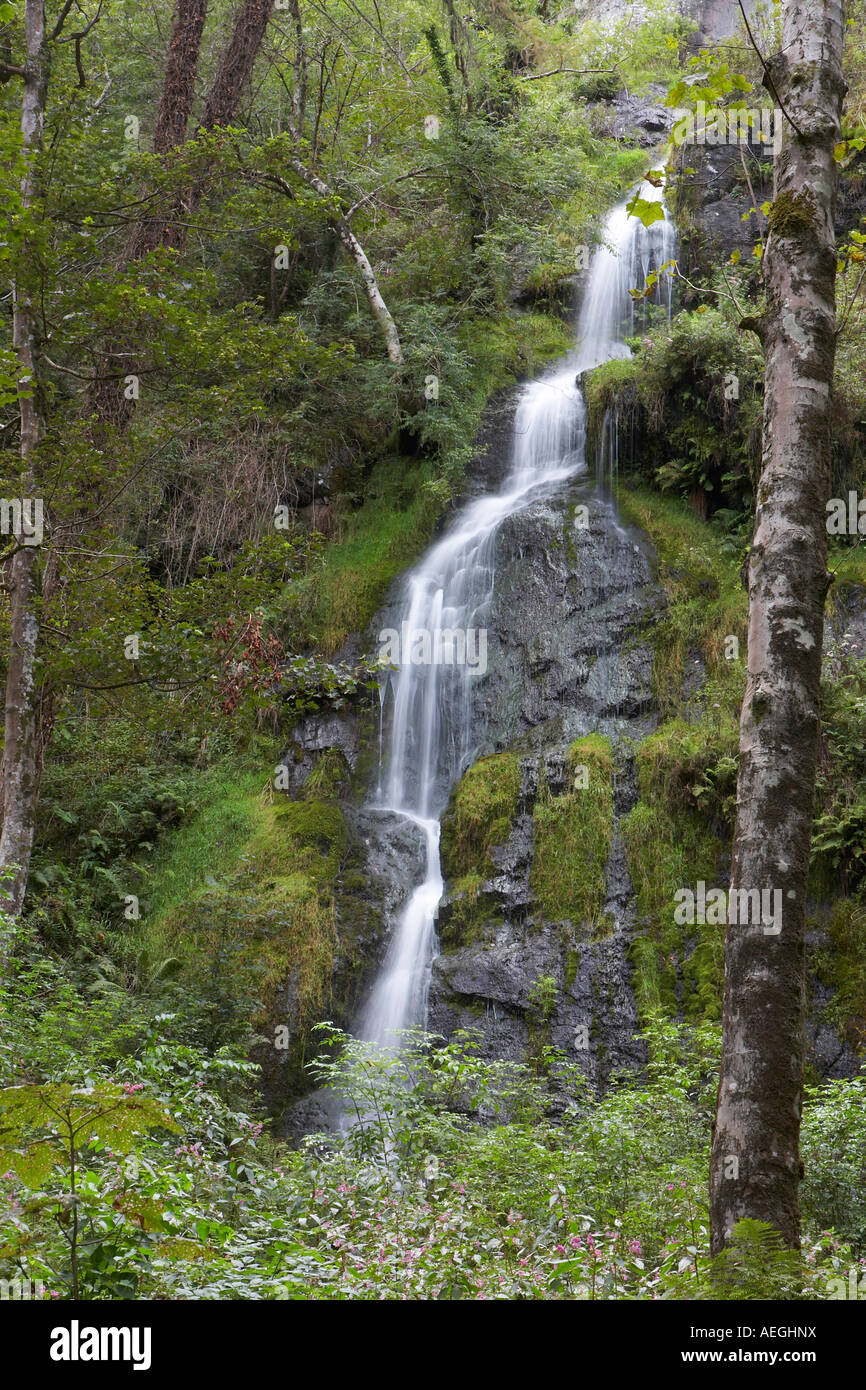 Canonteign Falls Banque D'Images