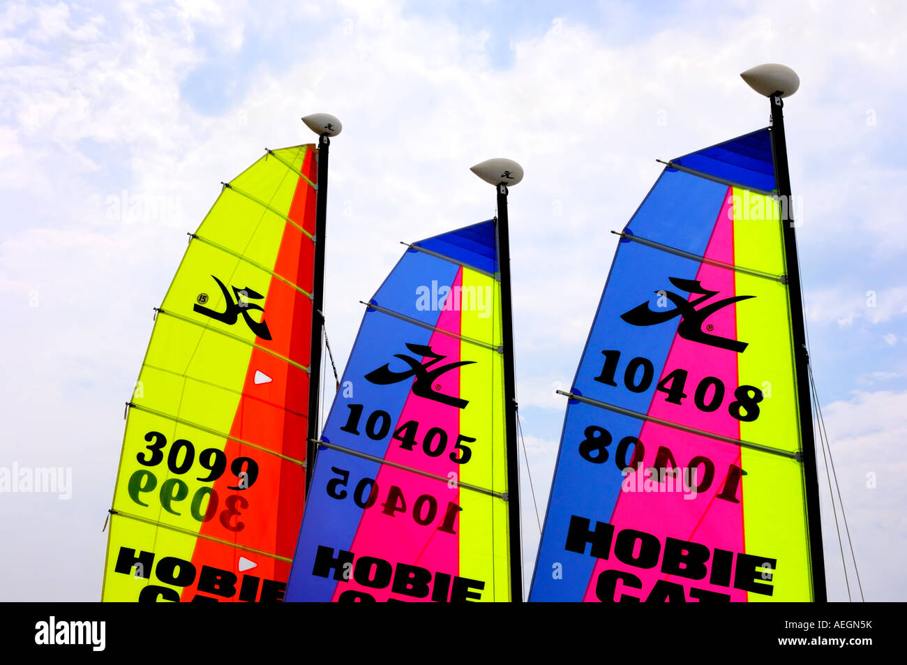 Catamarans Hobie Cat avec voiles multicolores Banque D'Images
