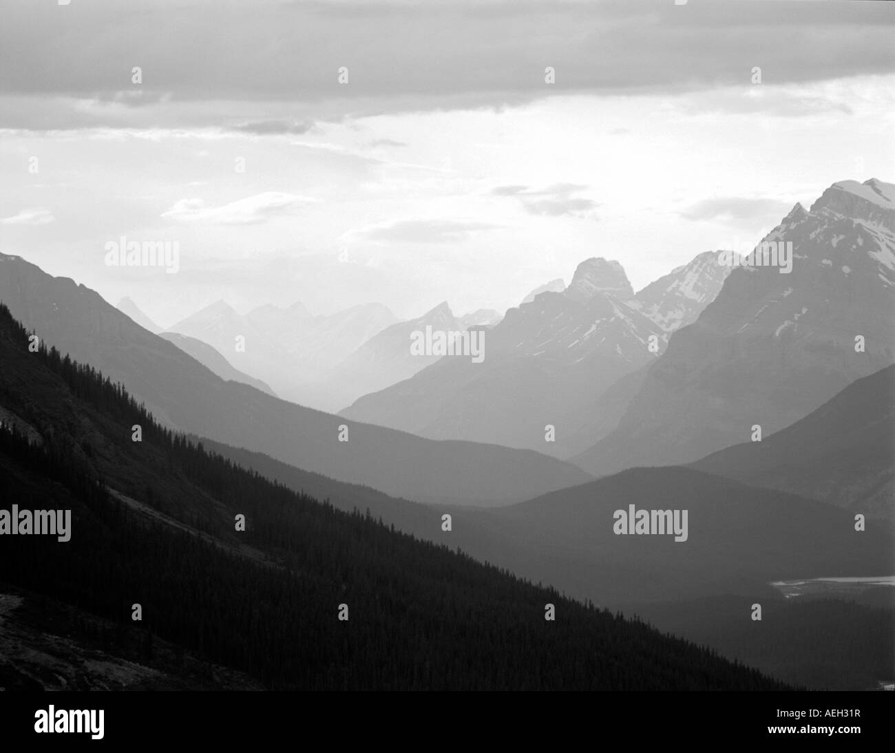 Montagnes près de Whistlers Campground Parc national Banff Canada Banque D'Images