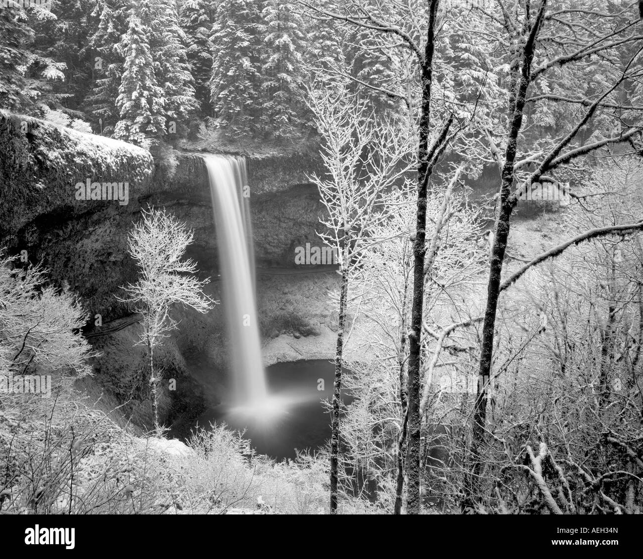 Chutes de neige du sud Silver Falls State Park Oregon Banque D'Images