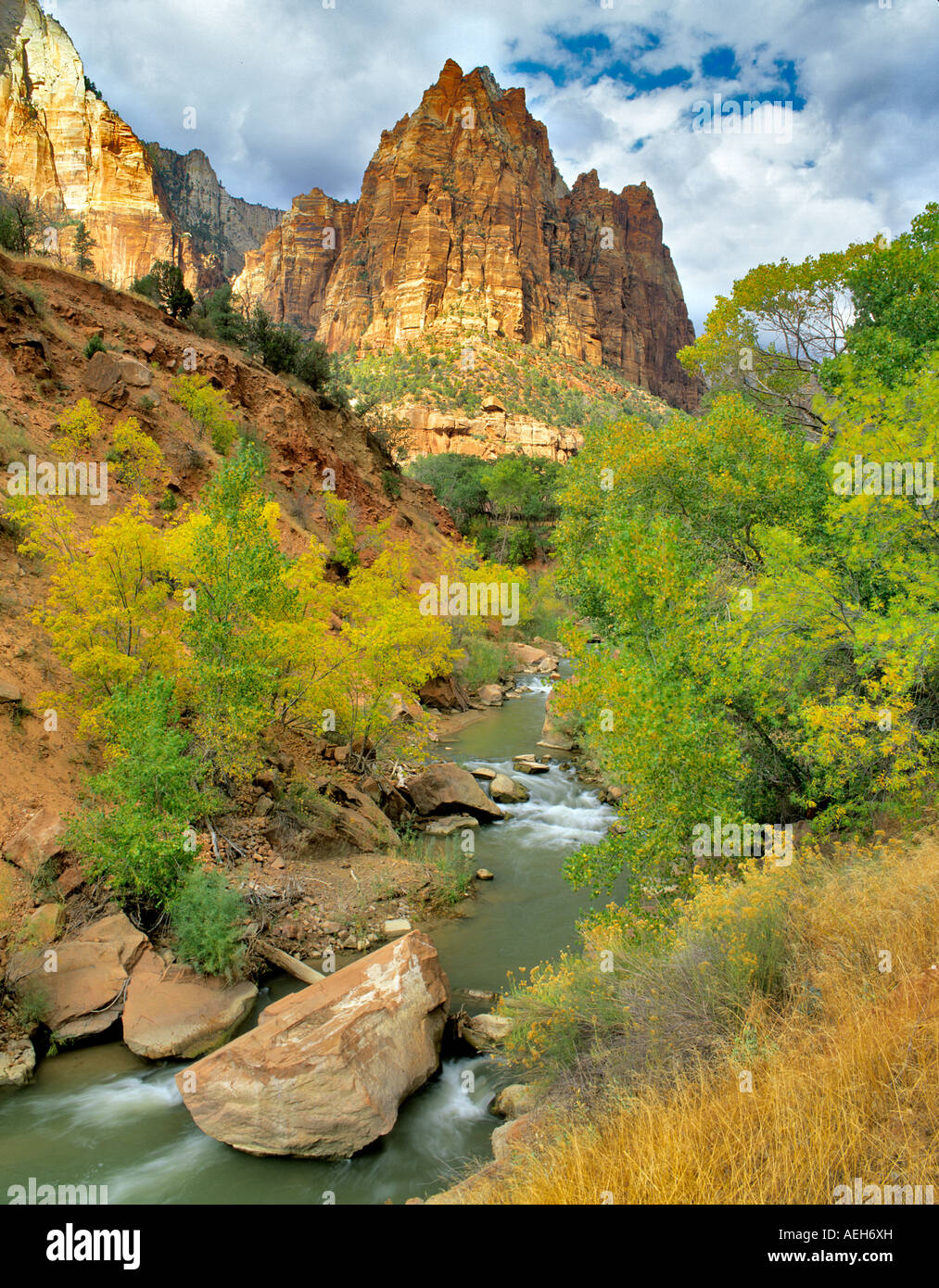 Virgin River avec la couleur de l'automne Zion National Park Utah Banque D'Images