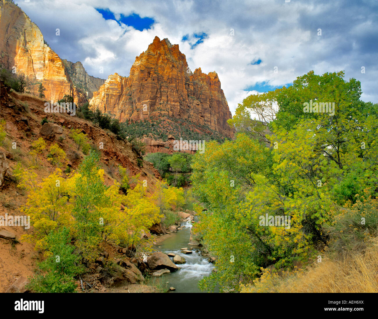 Virgin River avec la couleur de l'automne Zion National Park Utah Banque D'Images