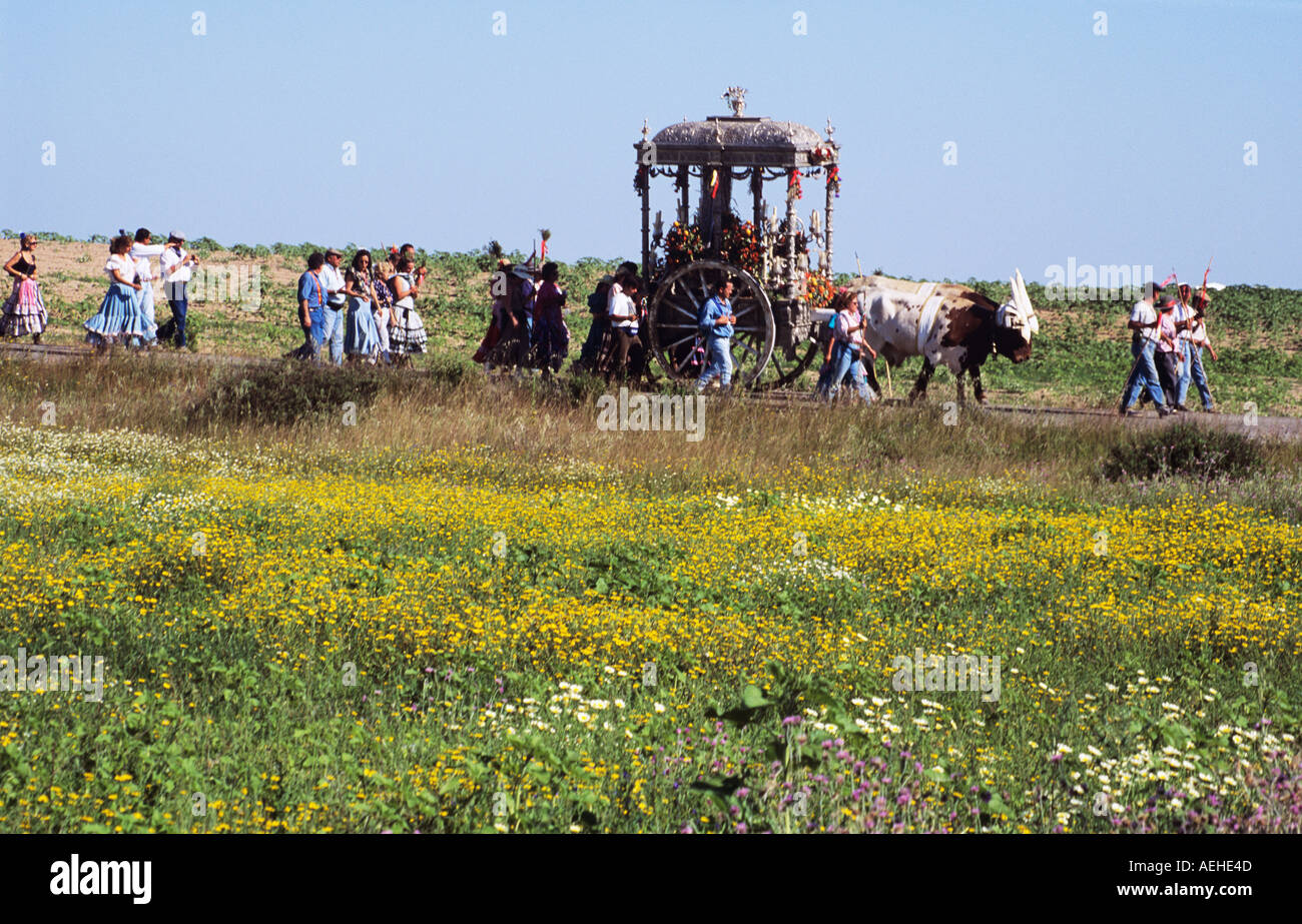 Pèlerinage Rocio Huelva, Andalousie, espagne. Pèlerins se rendant à pied à El Rocio. Des bœufs tirant de culte, fleurs sauvages. Banque D'Images