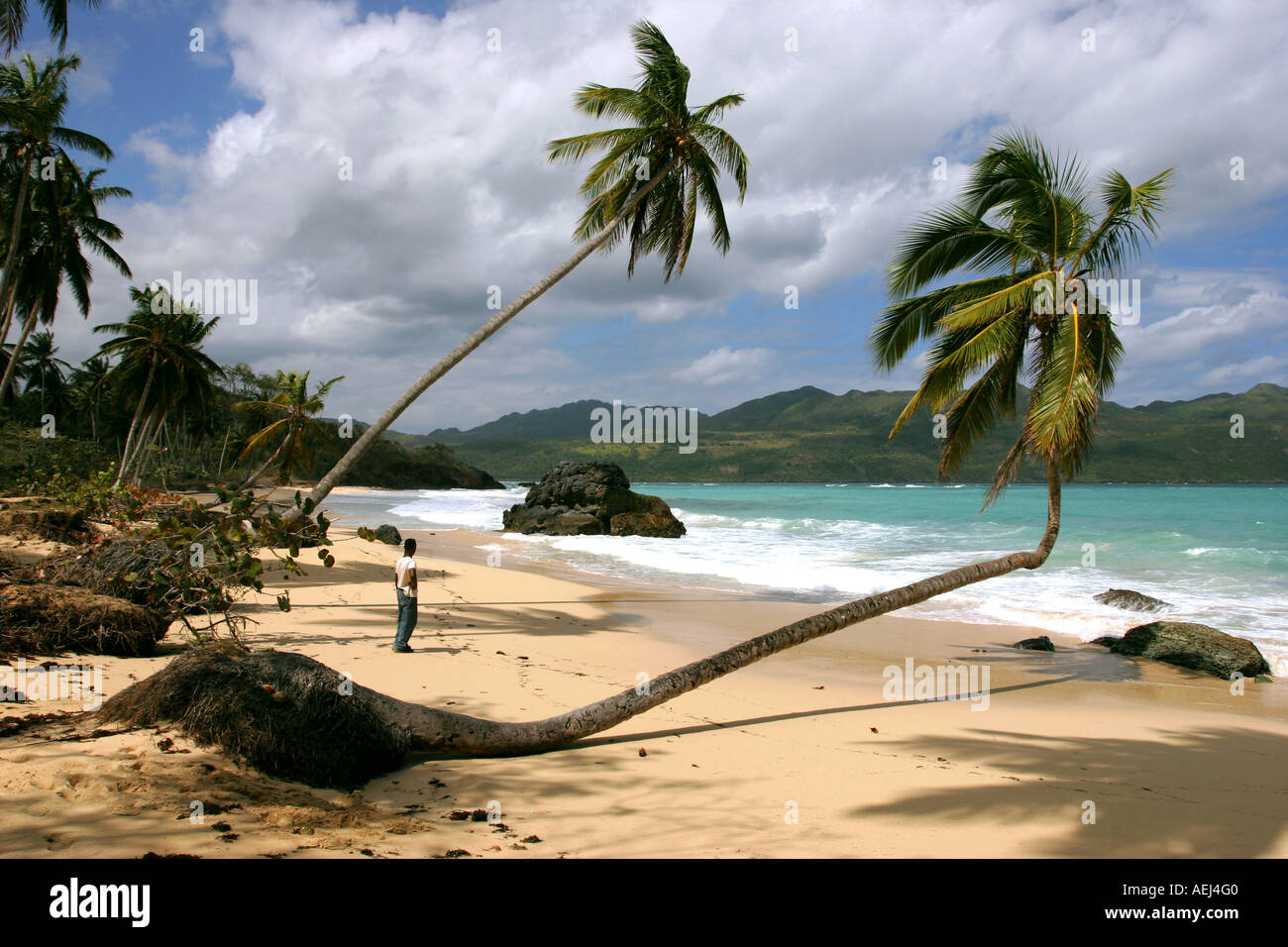 Un Seul Homme Dominicaine Dans Une Plage Paradisiaque Et