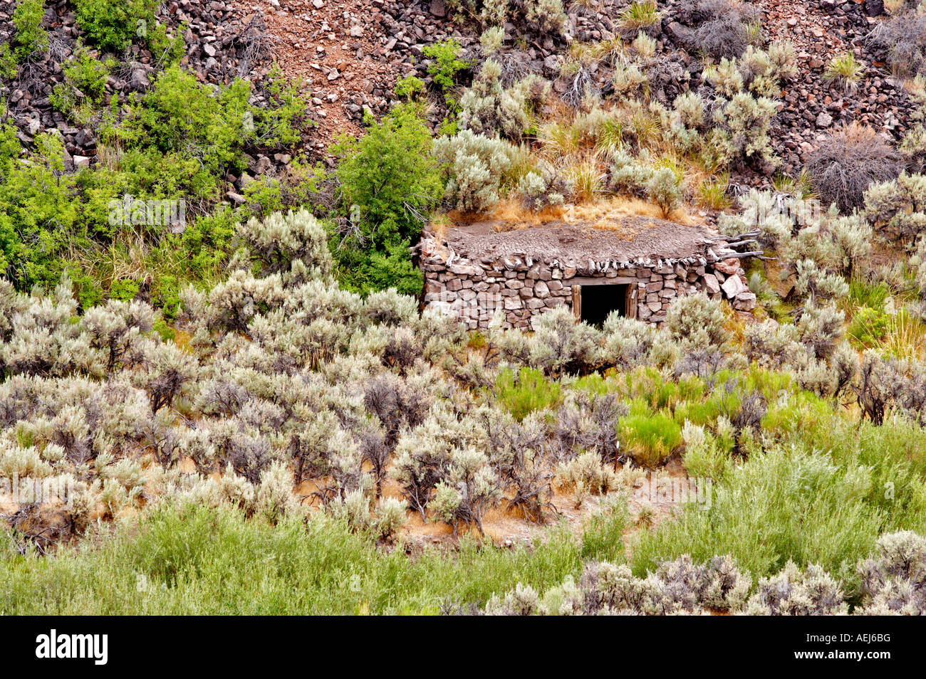 Cabine Toolhouse Black Rock Desert National Conservation Area Nevada Banque D'Images