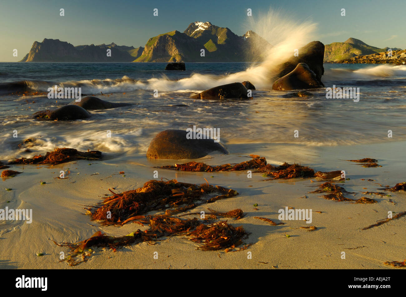 Marée montante, soleil de minuit, Flakstadoy, Lofoten, Norvège, Scandinavie Banque D'Images