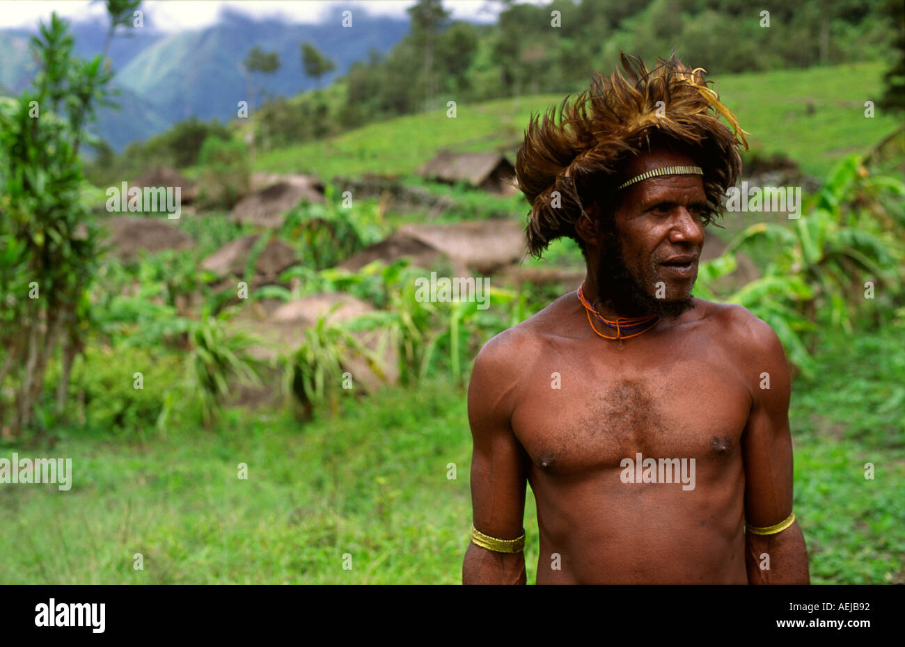 Homme Dani Baliem Valley l'Irian Jaya en Indonésie Photo Stock - Alamy