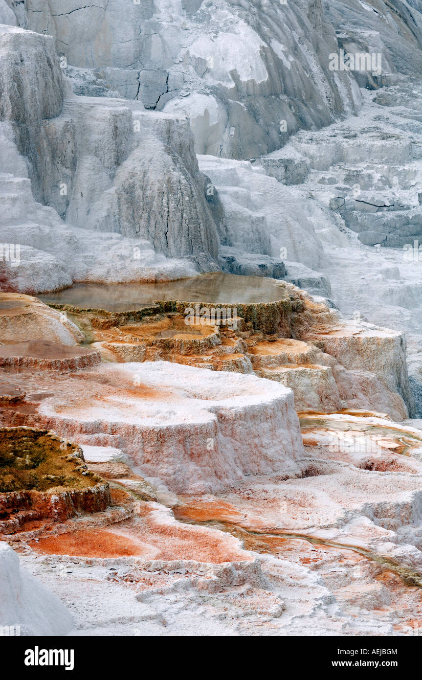 Mammoth Hot Springs, Parc national de Yellowstone, Wyoming, USA, Vereinigte Staaten von Amerika Banque D'Images