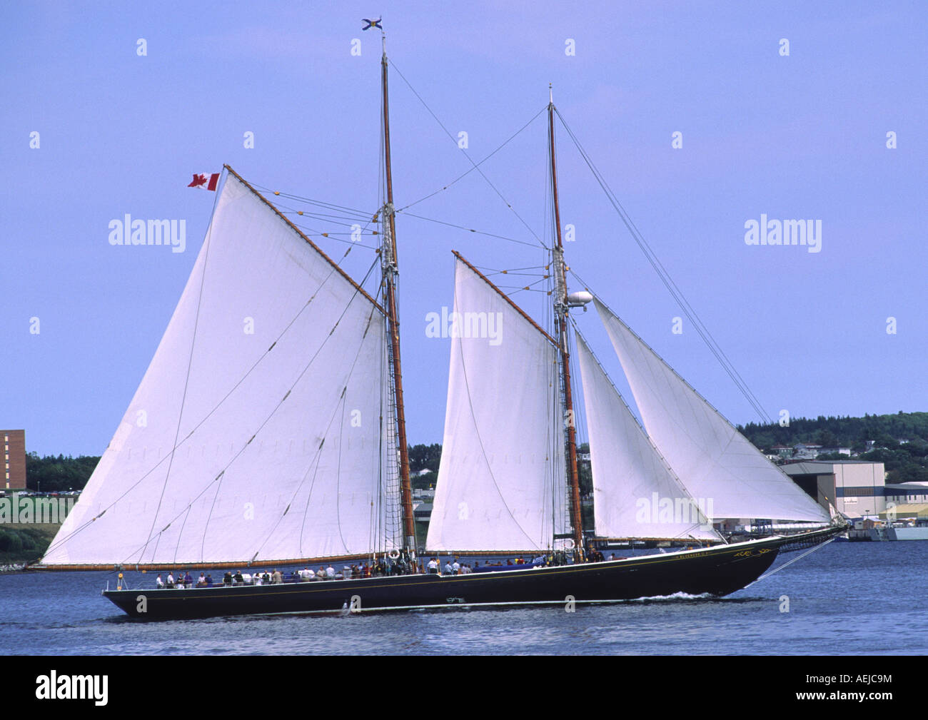 La goélette Bluenose II 2 II Le grand voilier dans le port de Halifax en Nouvelle-Écosse Banque D'Images