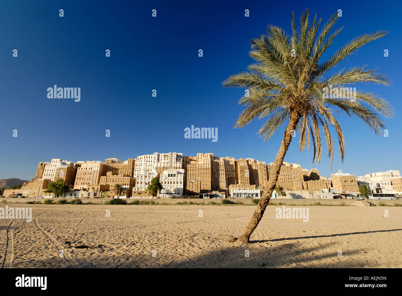 Vue sur la vieille ville de Shibam, Wadi Hadramaout, UNESCO World Heritage Site, Yémen Banque D'Images