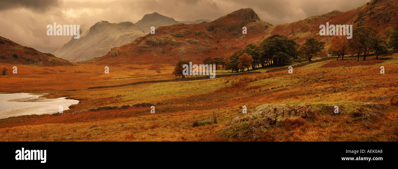 Blea Tarn Cumbria England UK Banque D'Images