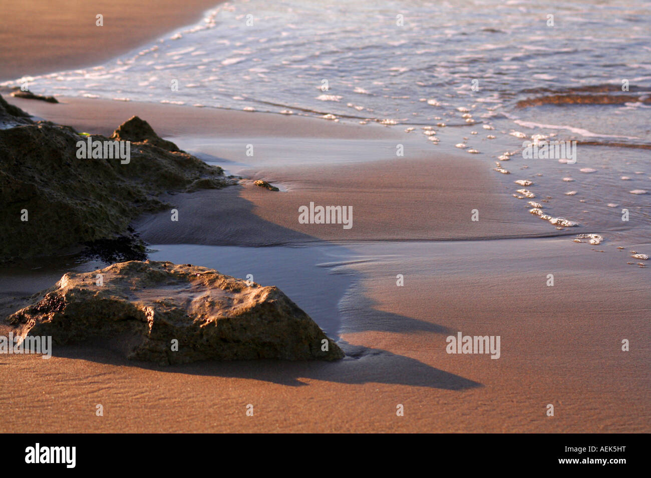Détail des vagues lorsqu'elles arrivent sur le sable Banque D'Images