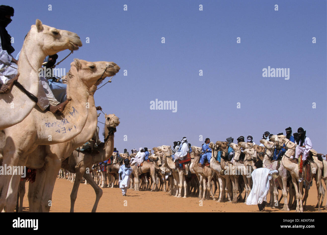 Mali Menaka près de Gao, les hommes de tribu touareg assis sur des chameaux Banque D'Images