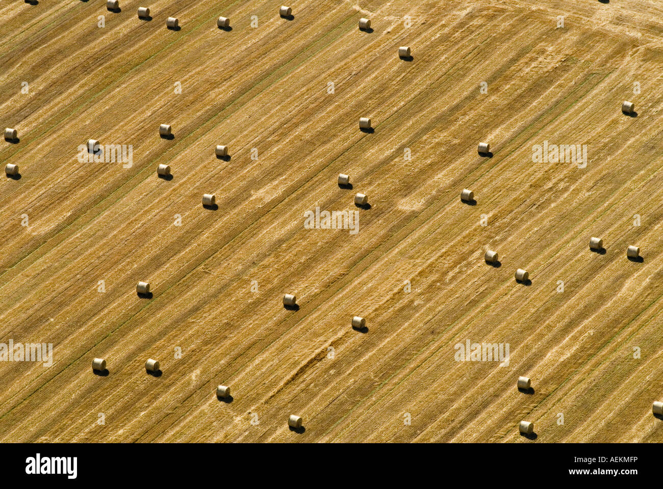 Vue aérienne de la campagne anglaise les balles de foin Northamptonshire UK. HOMER SYKES Banque D'Images