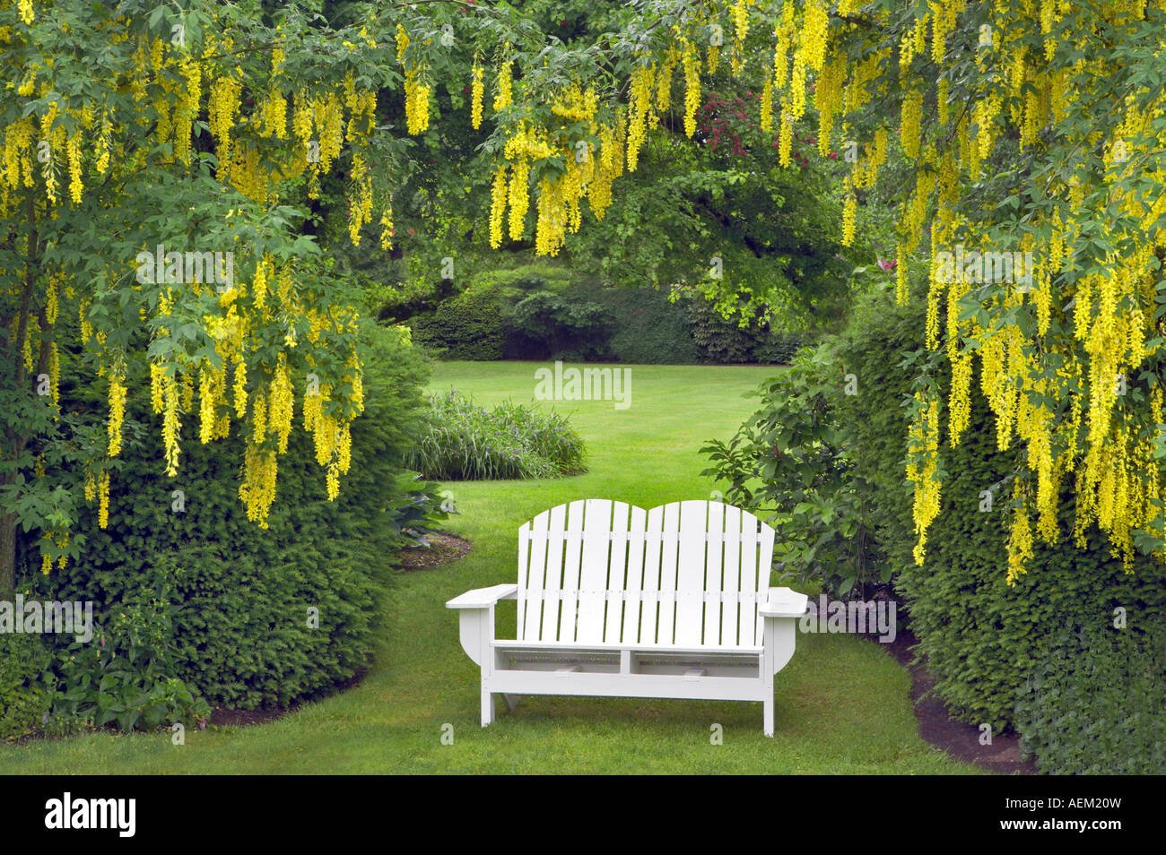 Banc et chaîne d'or tree Schreiner s Iris Gardens Florida Banque D'Images