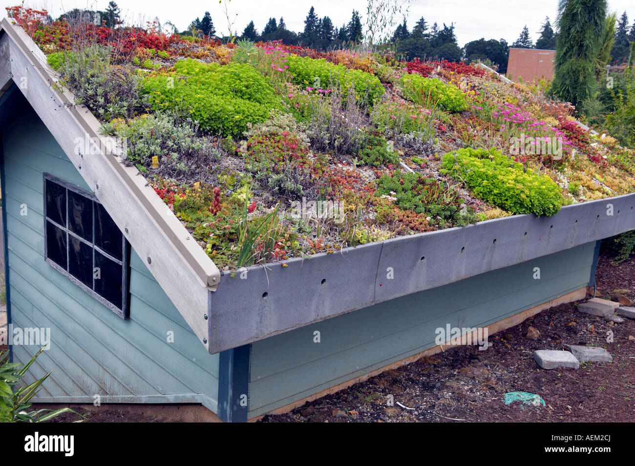 Toiture du bâtiment couvert de plantes succulentes Rock Oregon Oregon Garden Banque D'Images