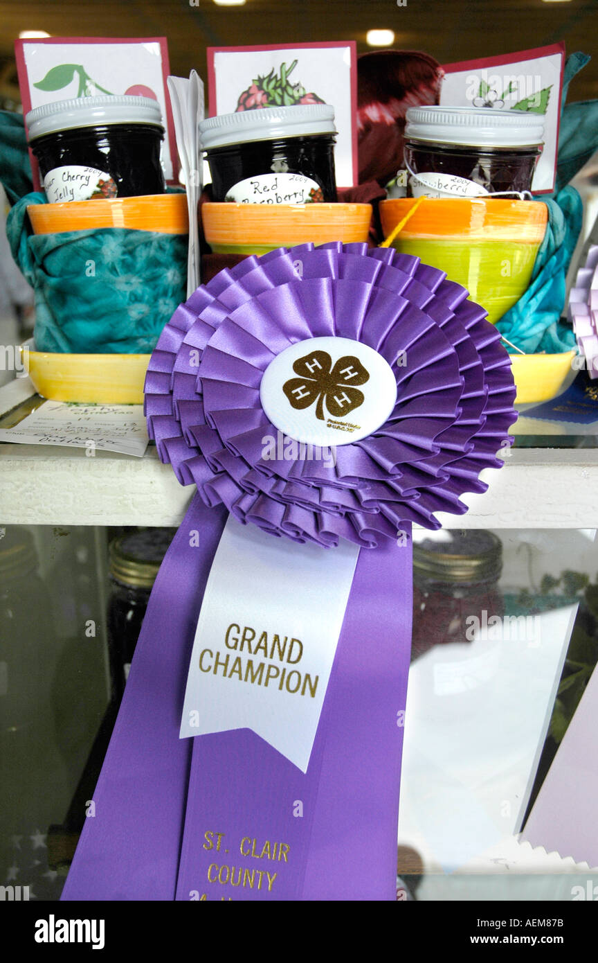 Grand champion blue ribbon présenté lors d'une 4H juste de meilleures confitures Banque D'Images