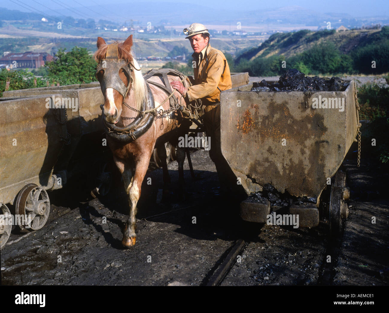 En Pit Pony mine de charbon privée Torfaen Blaenavon South East Wales Banque D'Images