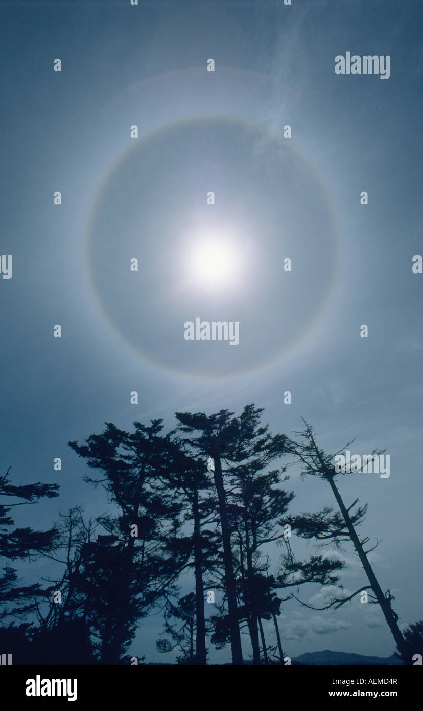 Soleil avec halo, 22 degrés, arc causé par la réfraction de la lumière dans des cristaux de glace à haute altitude Banque D'Images