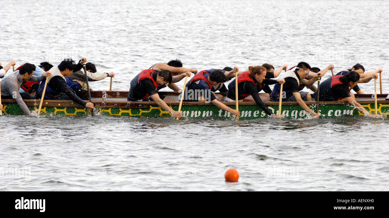 La Tamise DRAGONBOATING formation dragons à la London Regatta Centre London UK Banque D'Images