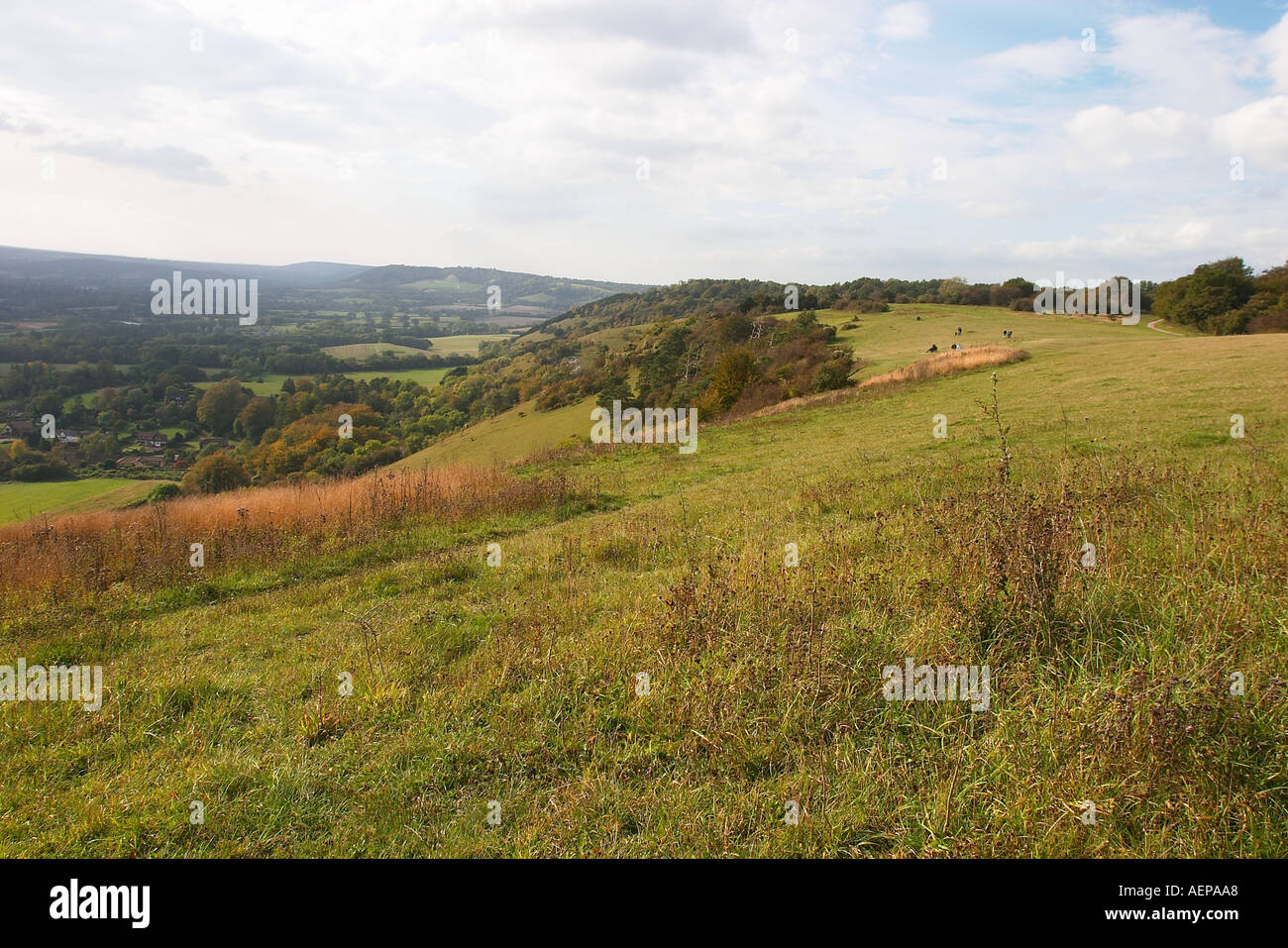 Photographie à plus de Colley Hill Reigate Surrey à vers Dorking Banque D'Images