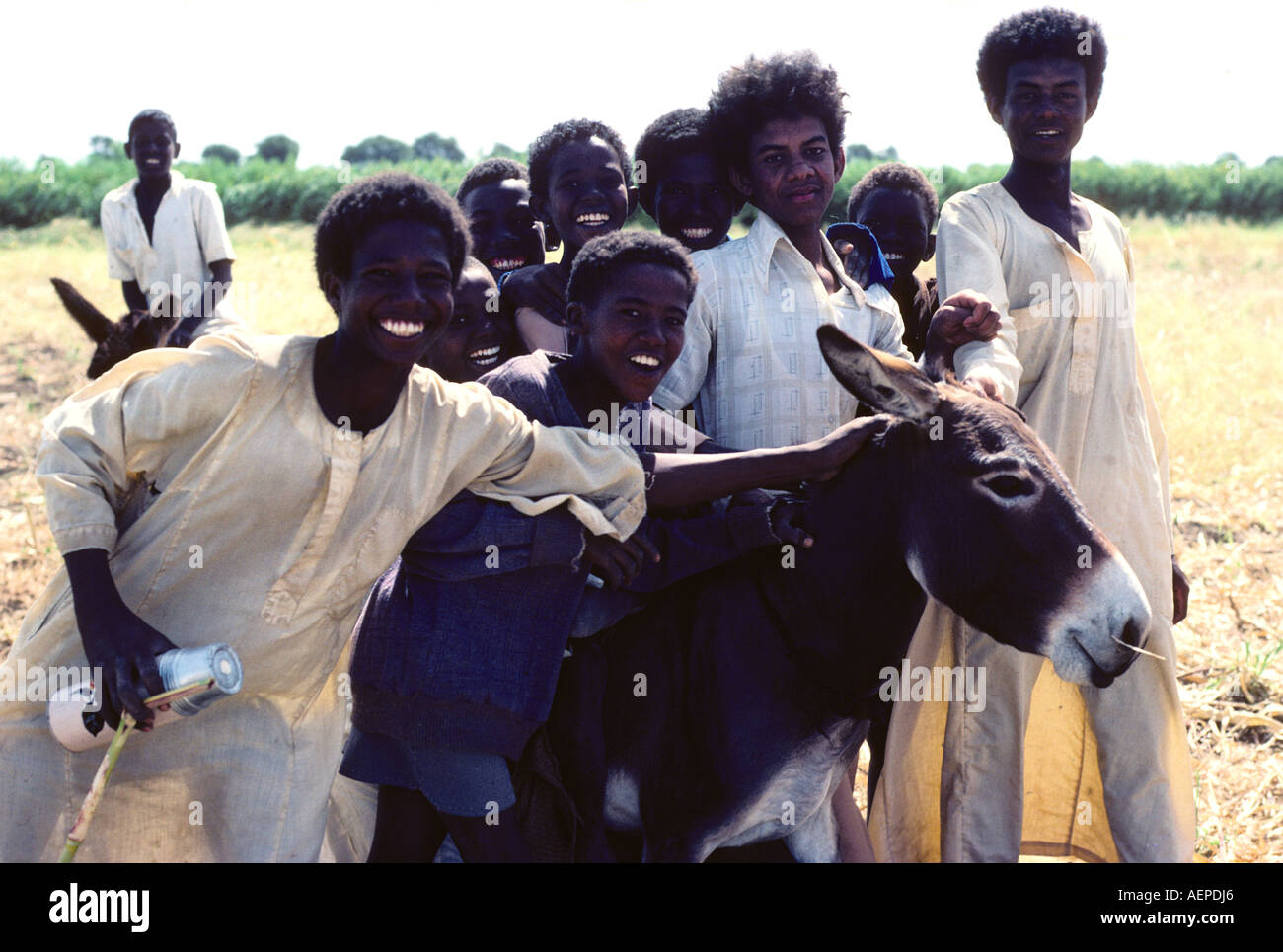 Soudan rire les garçons avec un âne au moment de la récolte Banque D'Images