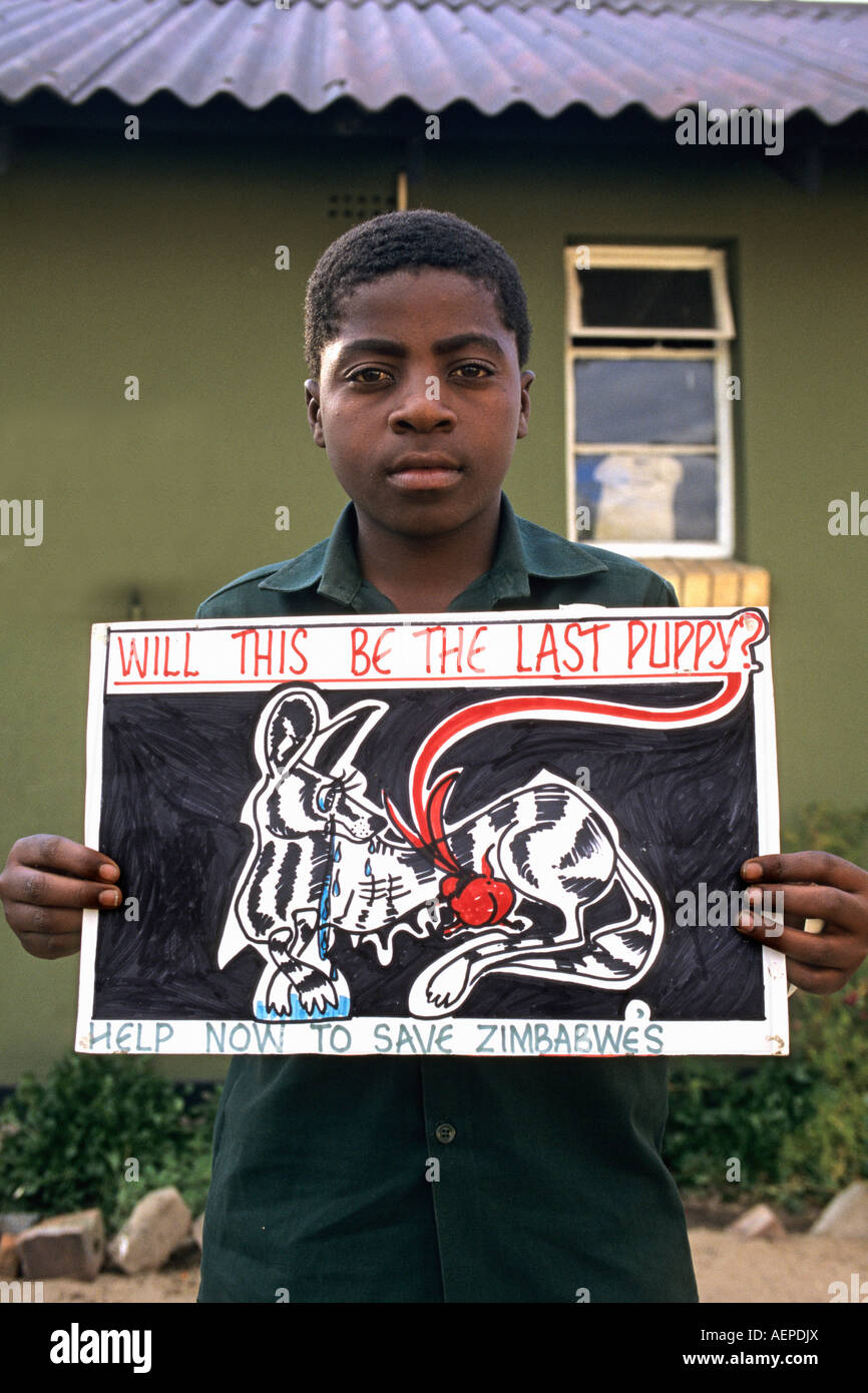 Bulawayo, Zimbabwe Enfants campagne pour la protection du chien de chasse peint Banque D'Images
