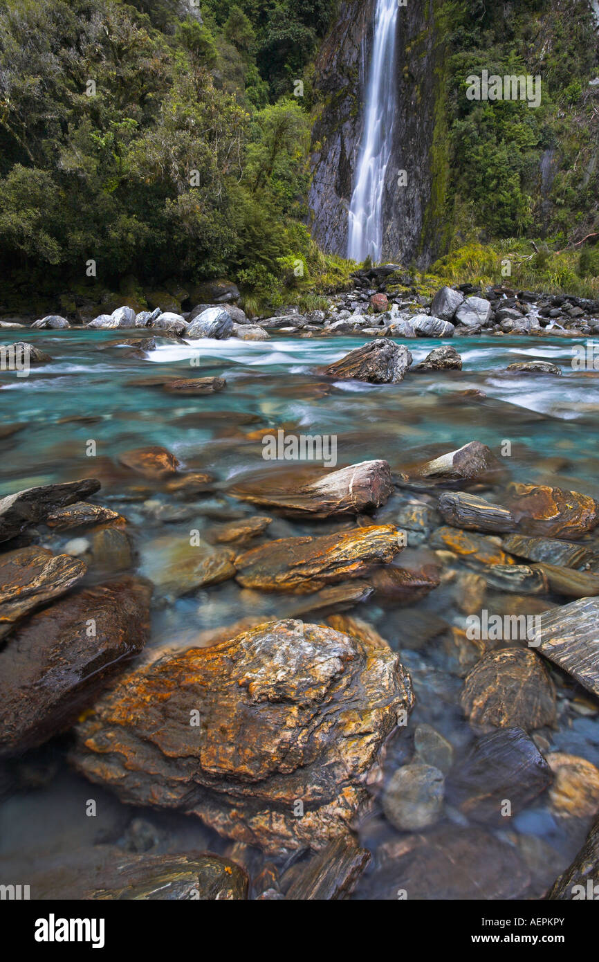 Thunder Creek Falls, West Coast, Nouvelle-Zélande Banque D'Images